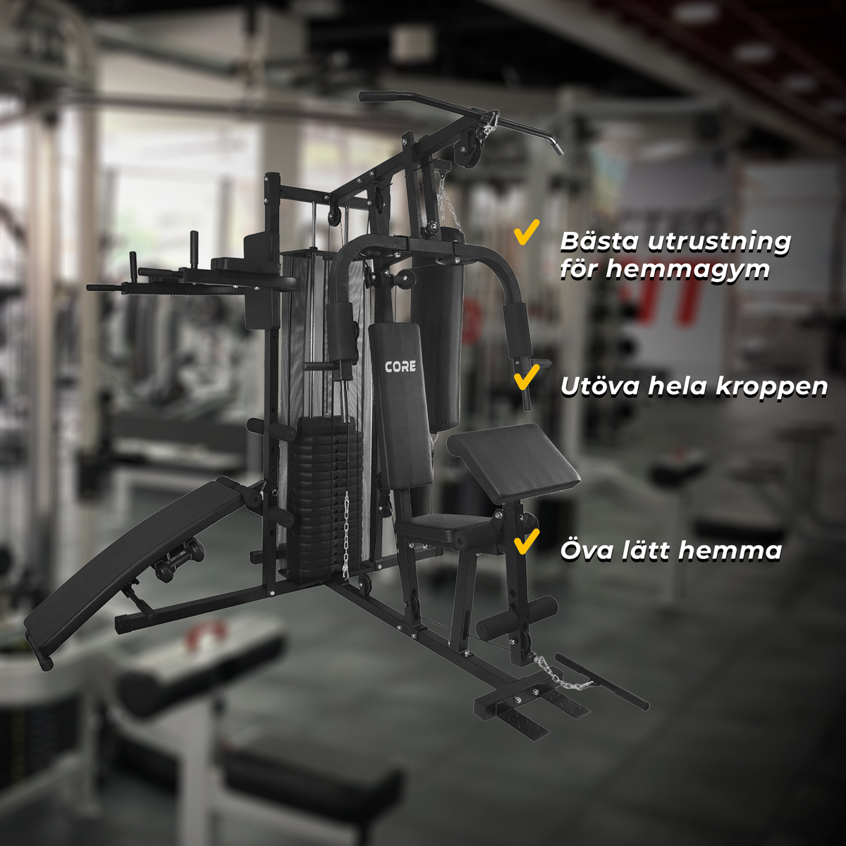 Nordcore Hemma gym Core 100kg