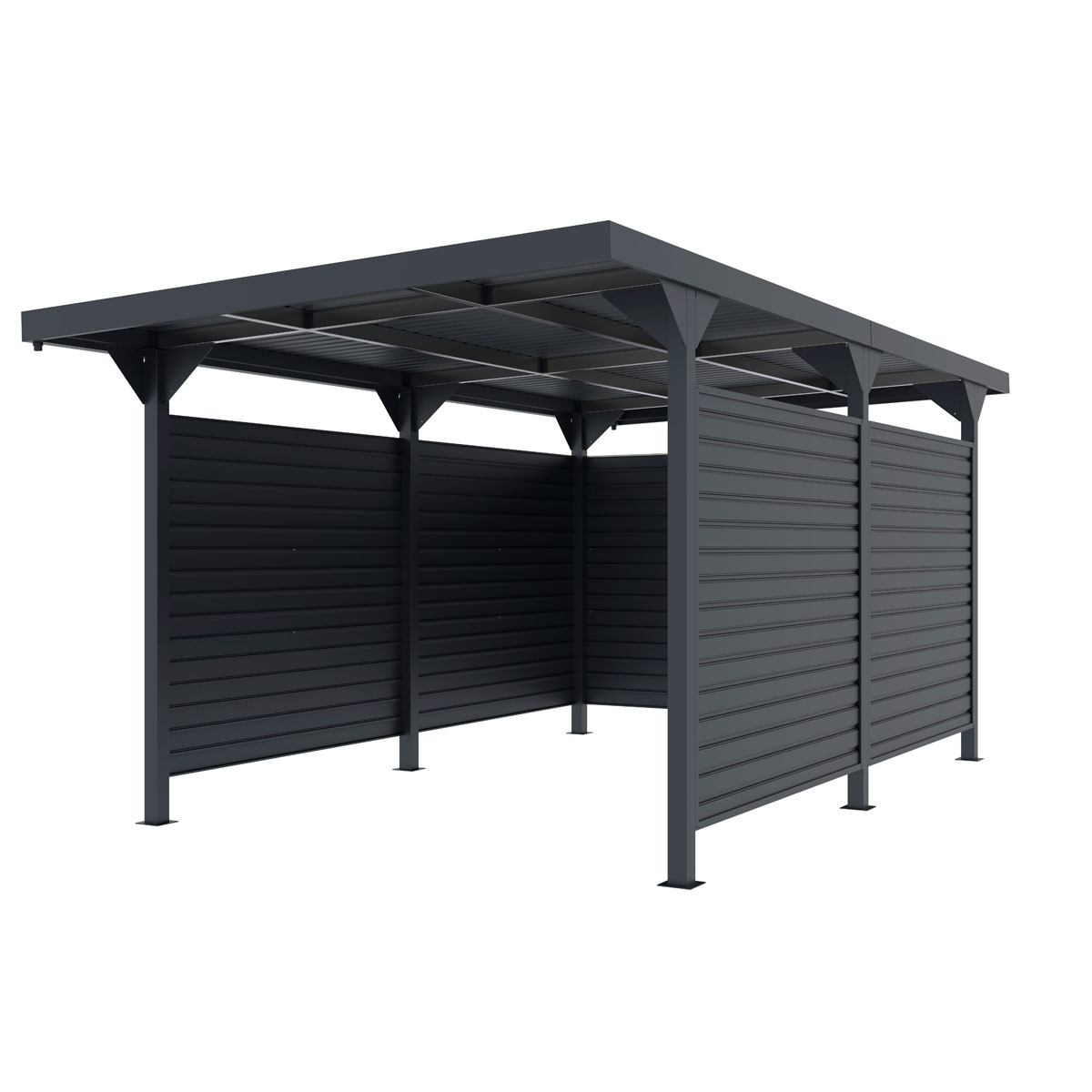 Fornorth Abri de Voiture Premium avec murs