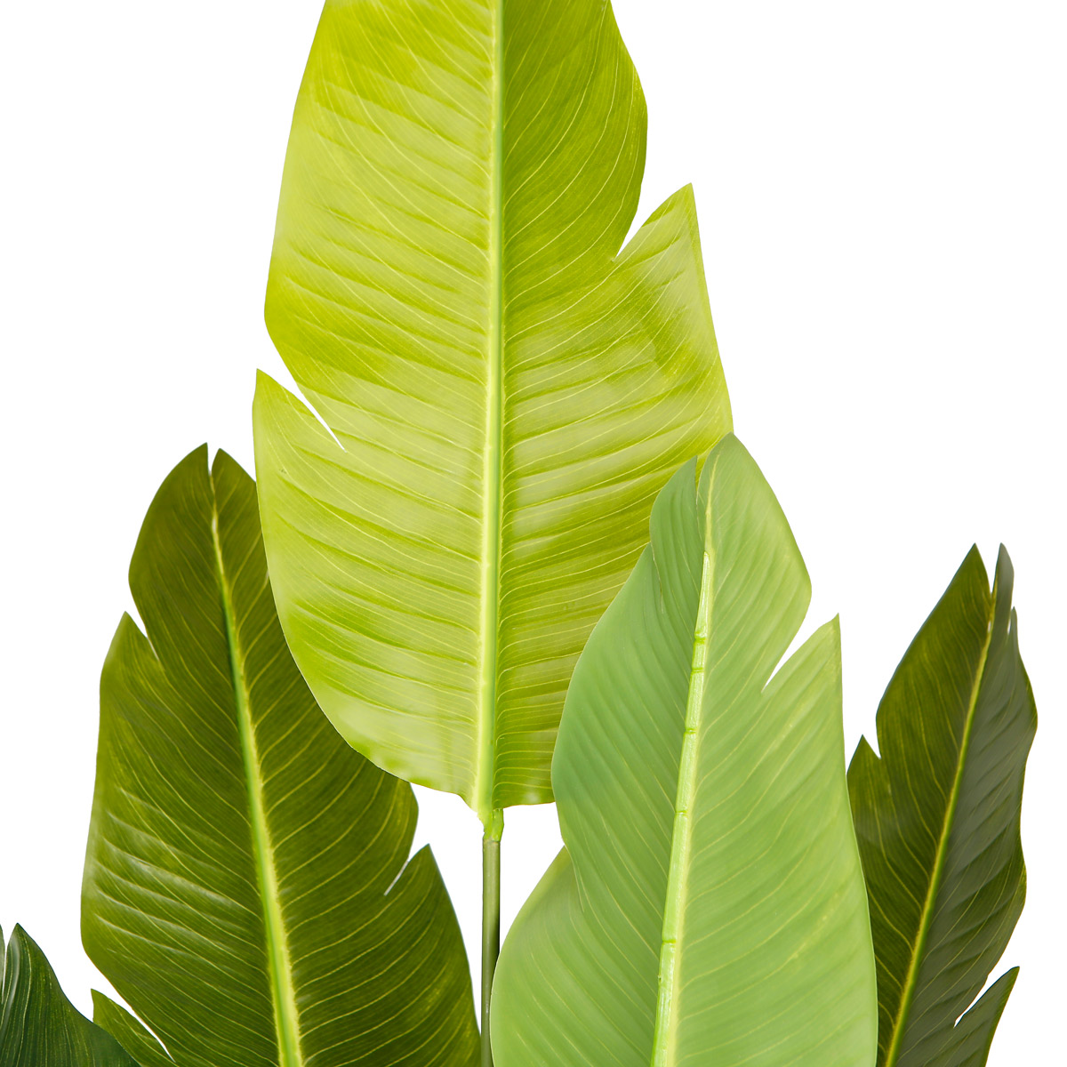 Lykke Dirbtinis Augalas Rojus 200cm