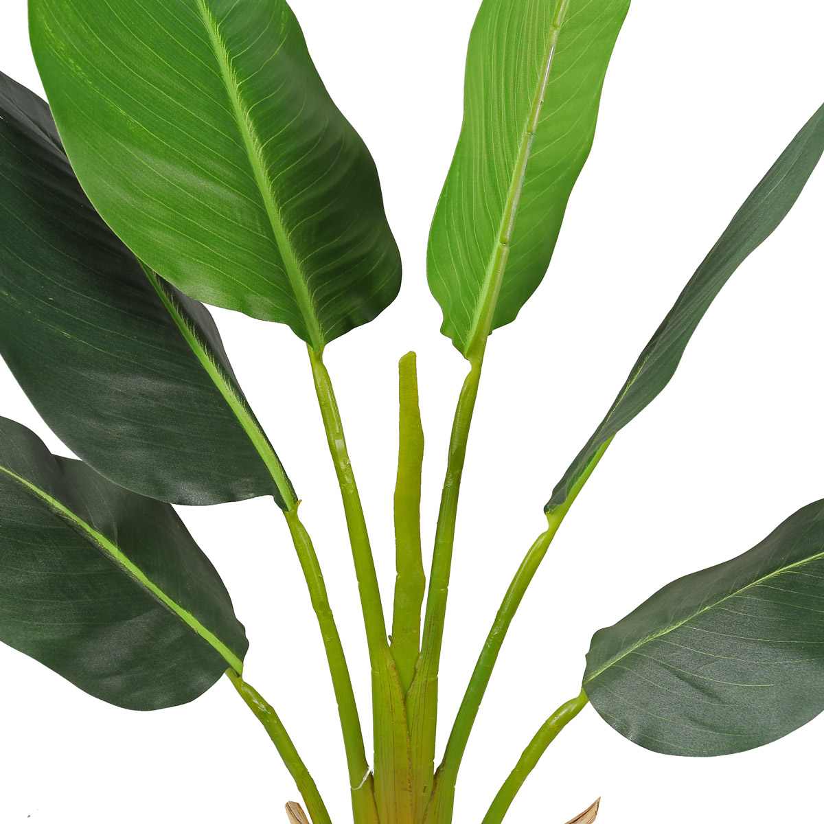 Lykke Mākslīgais Augs Strelitzia Koks 90cm