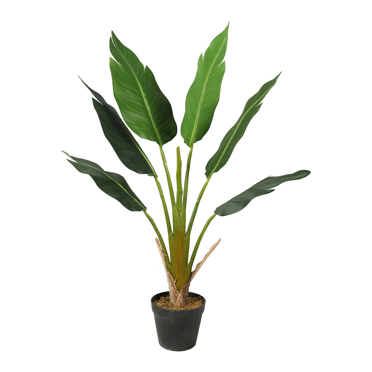 Lykke Mākslīgais Augs Strelitzia Koks 90cm