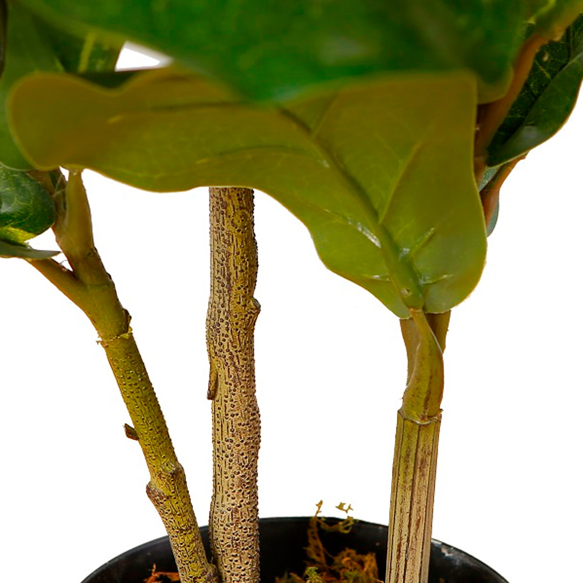 Lykke Mākslīgais Augs Ficus Lyrata 85cm