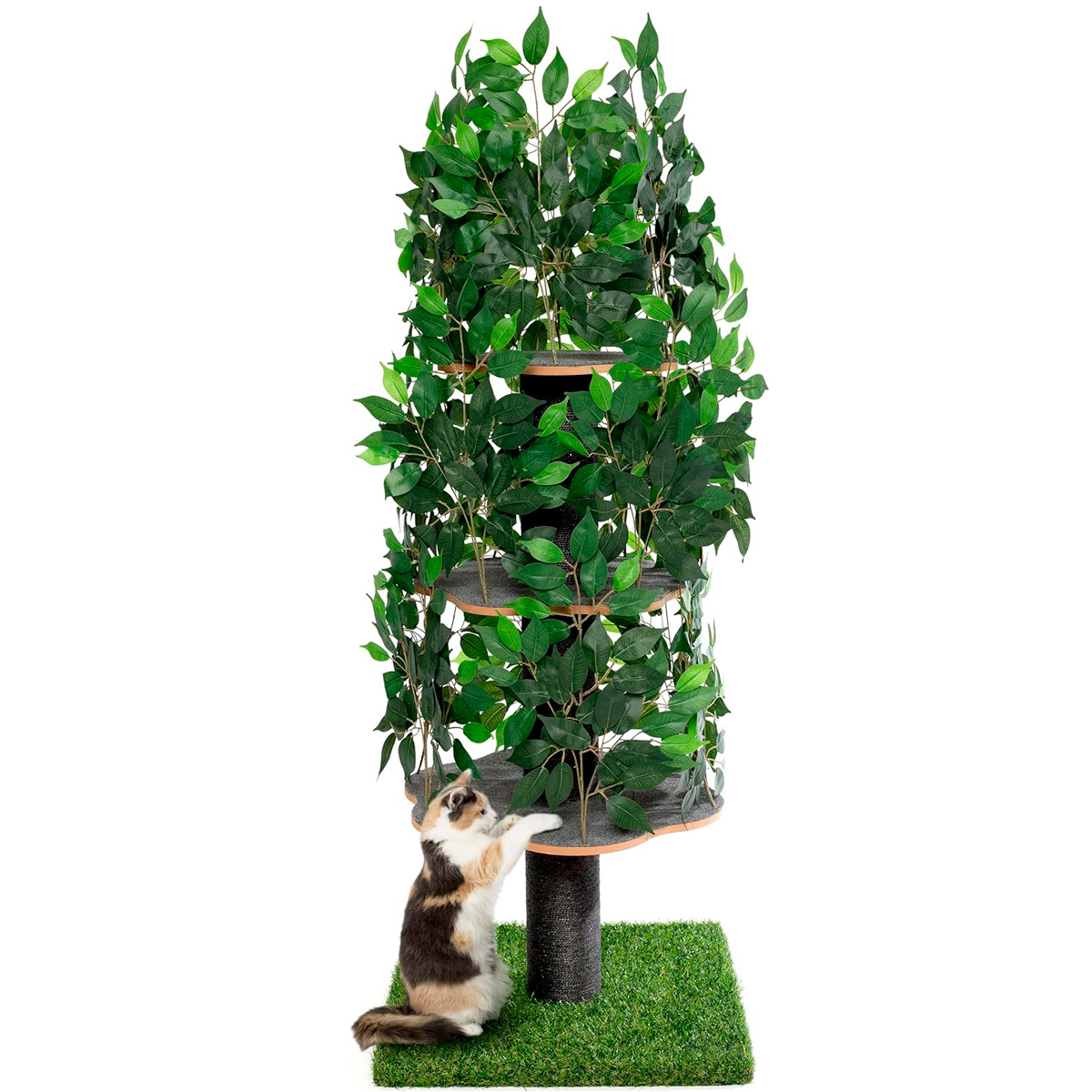 Trekker Kassi Ronimispuu Natural 150cm