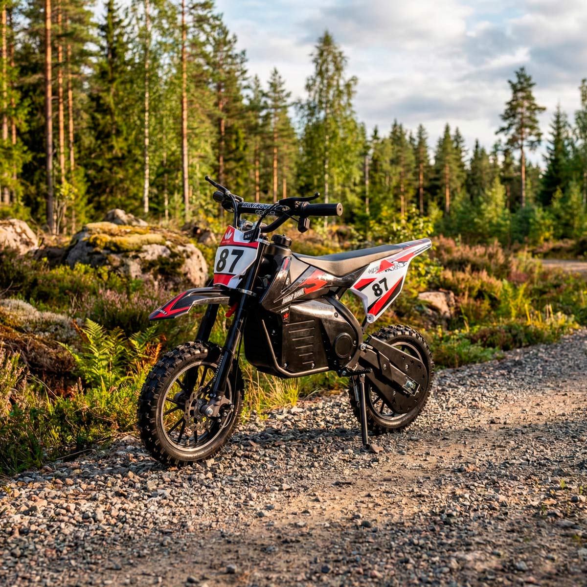 React Electric Dirt Bike Seeker 800W