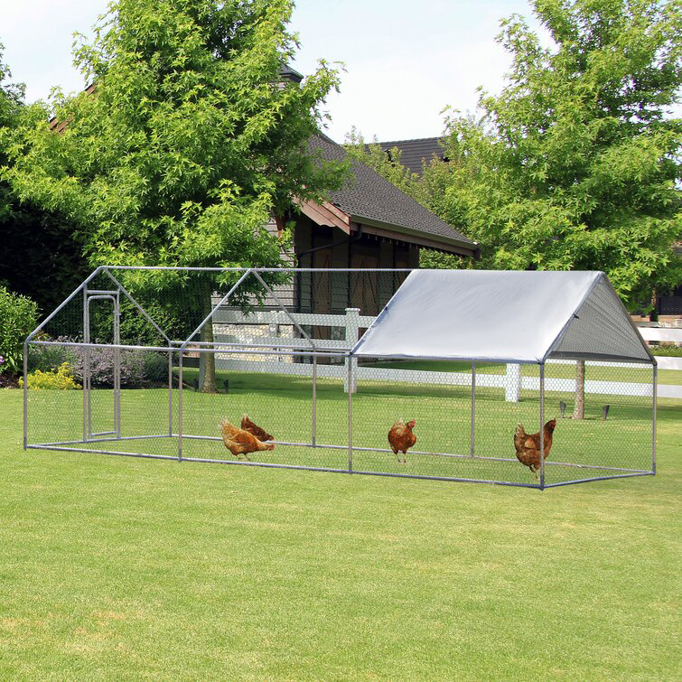 Trekker Freilaufgehege für Hühner 6x3x2m