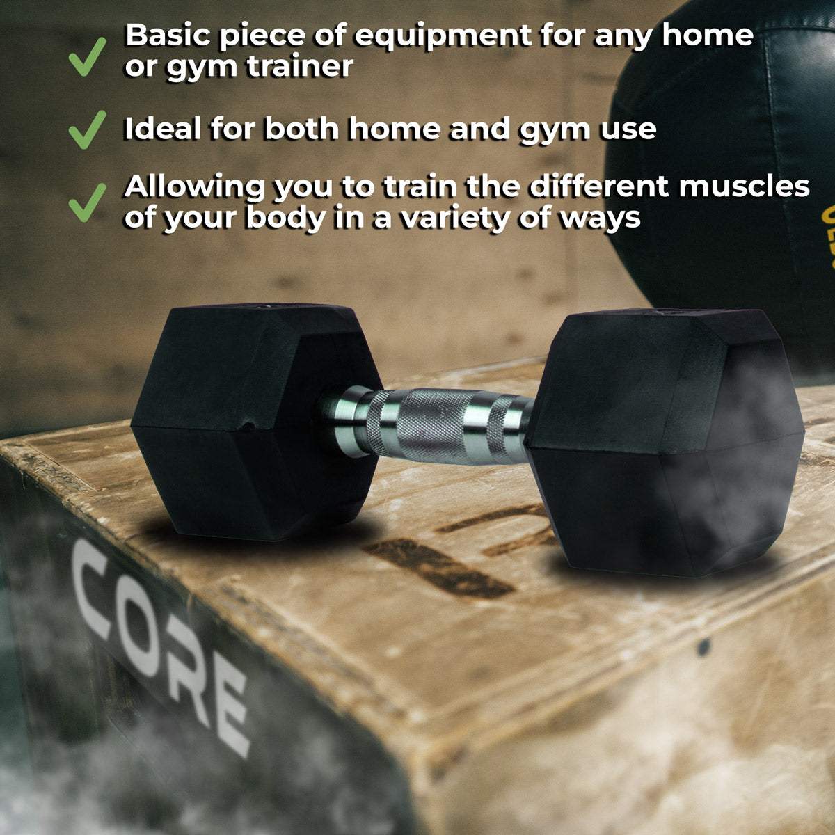 Core Dumbbell Hex (2-50kg)