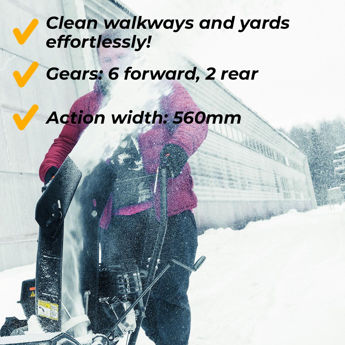 Fornorth Snowblower S3100