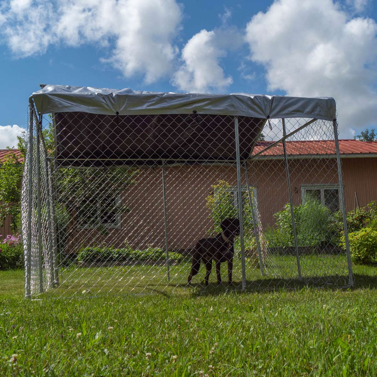 Kojec dla psa Trekker z dachem, 4 x 4m