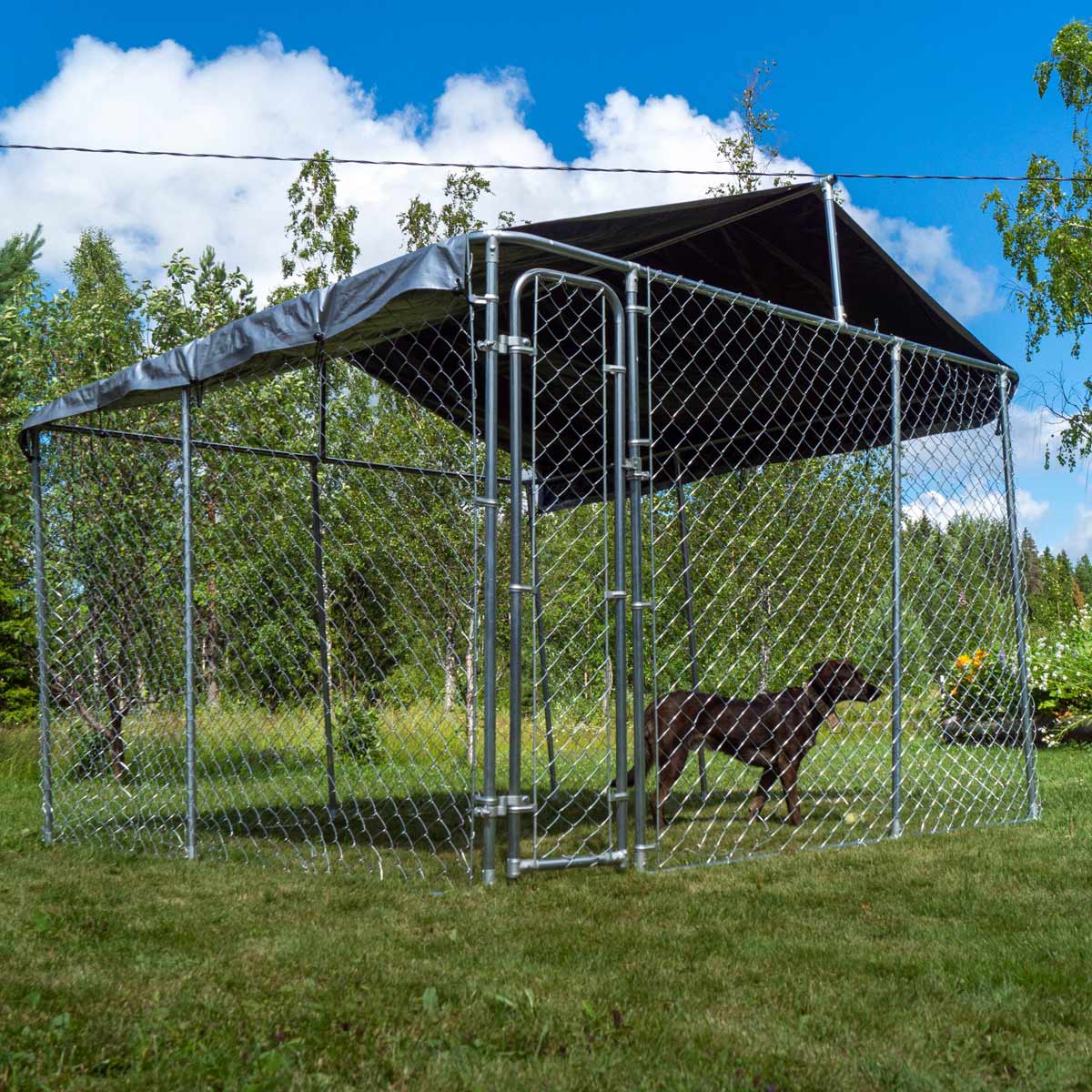 Trekker Hundezwinger mit Dach 4 x 4m