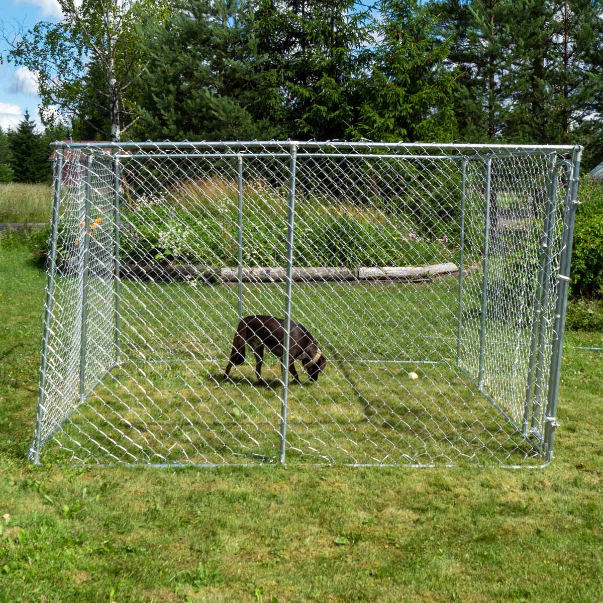 Trekker Chenil pour Chiens 4 x 4m