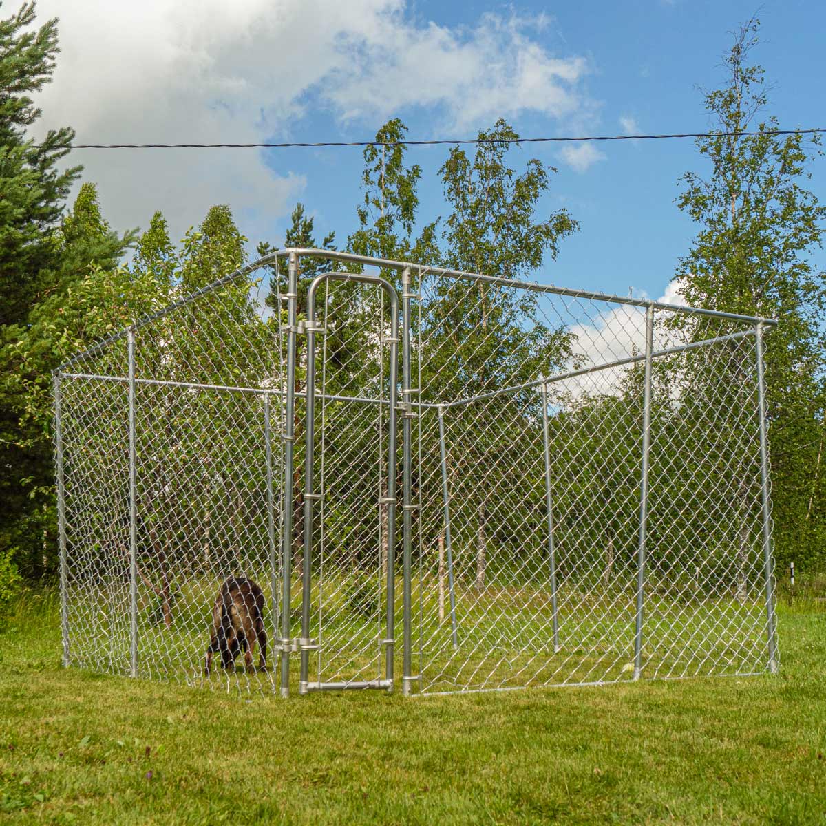 Trekker hundgård 4 x 4m