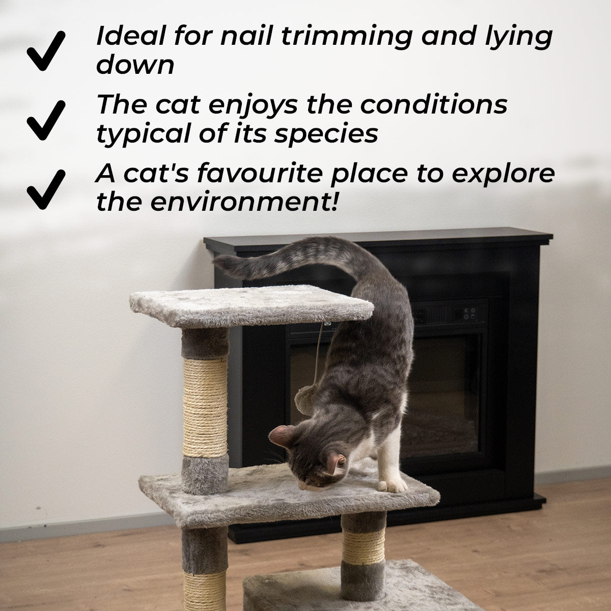 Trekker Cat Tree Basic 80cm