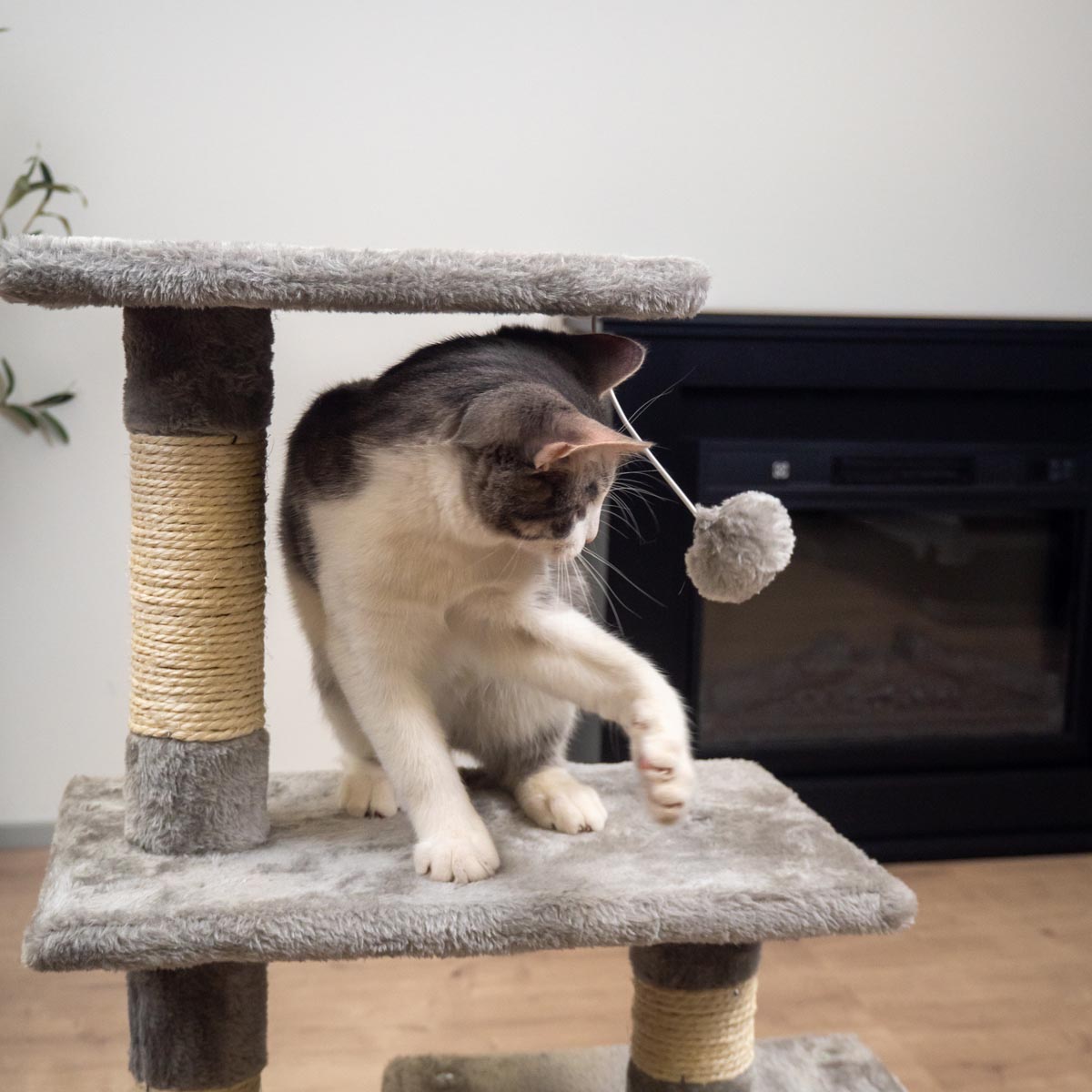 Trekker Arbre à chat Basic 80cm