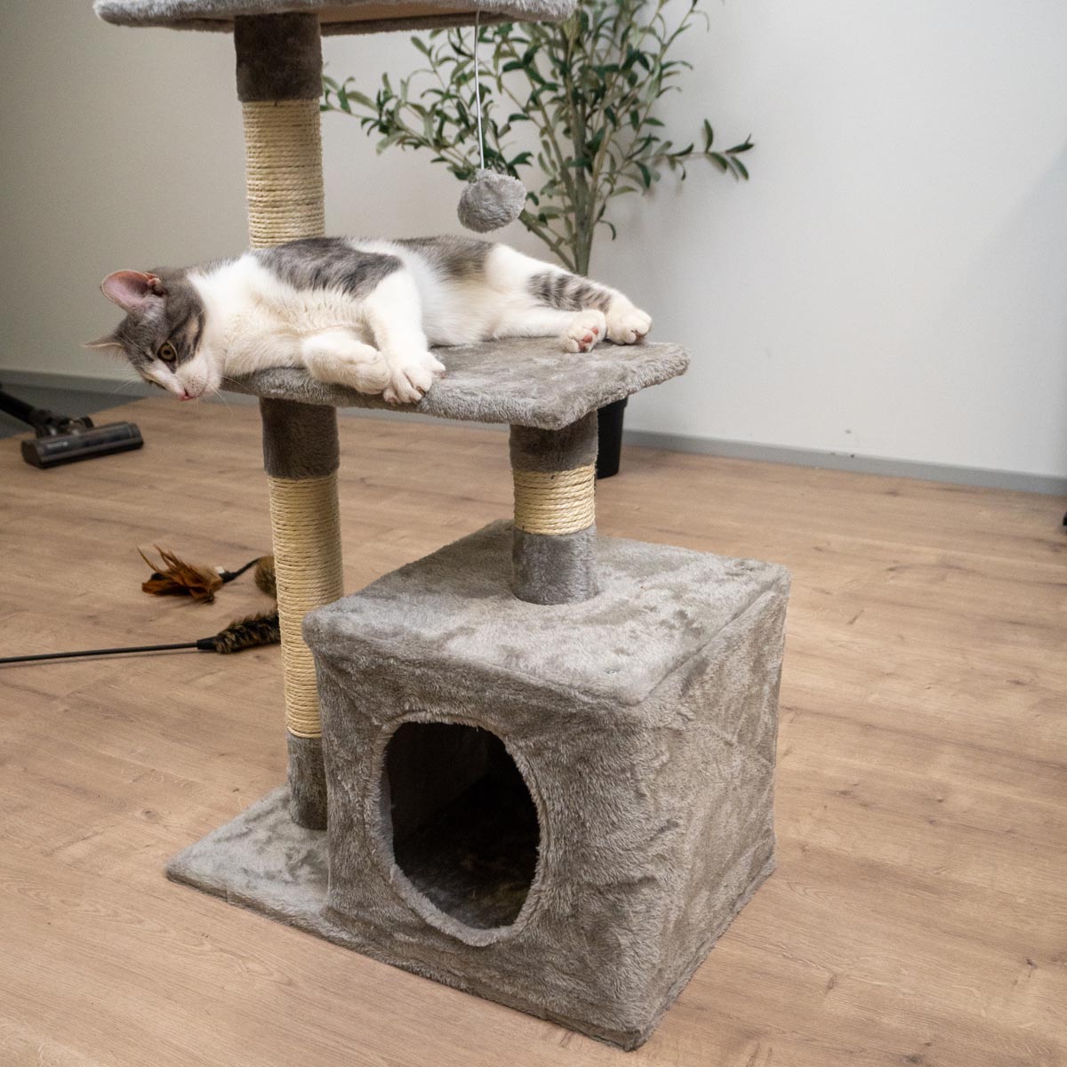 Trekker Arbre à chat Basic 80cm