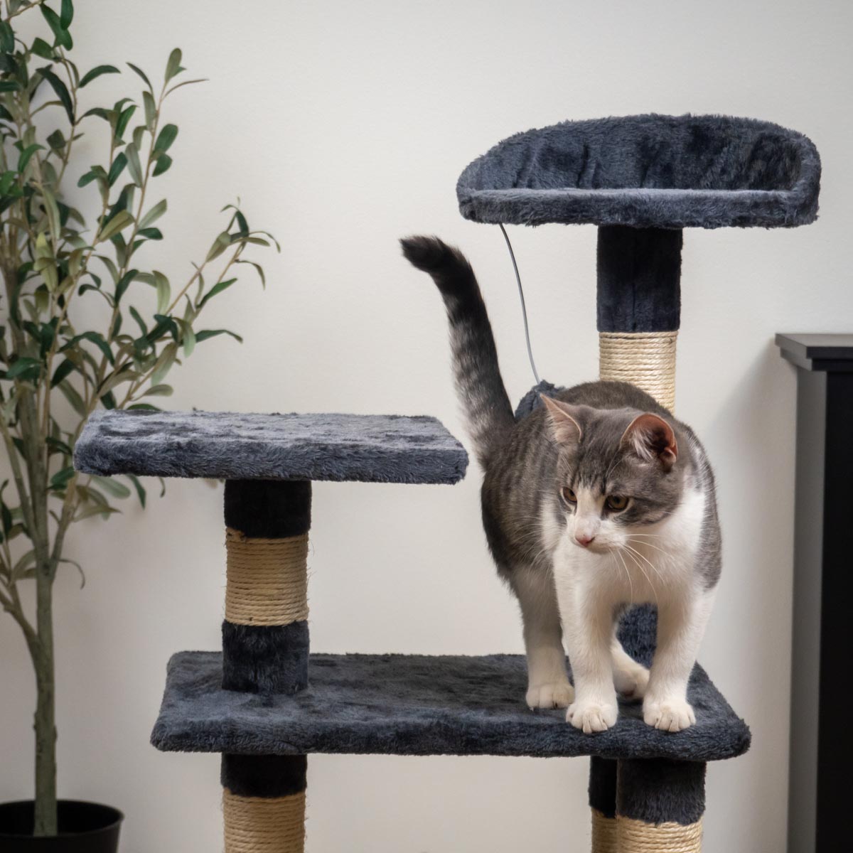 Trekker Kaķu Koks Comfy 103cm