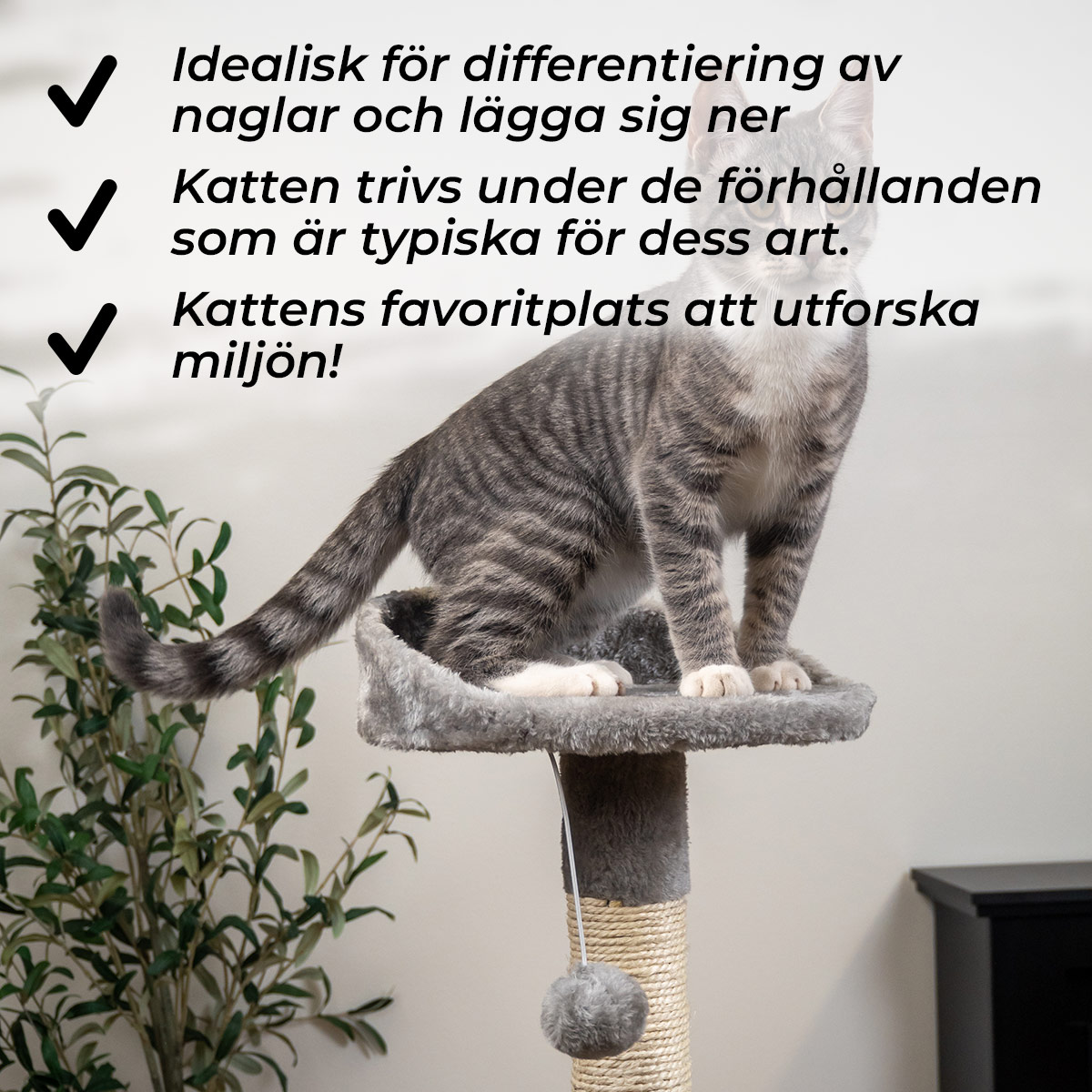 Trekker Klösträd Home 112cm