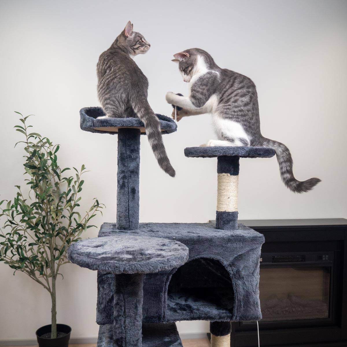 Trekker Arbre à chat Hotel 130cm