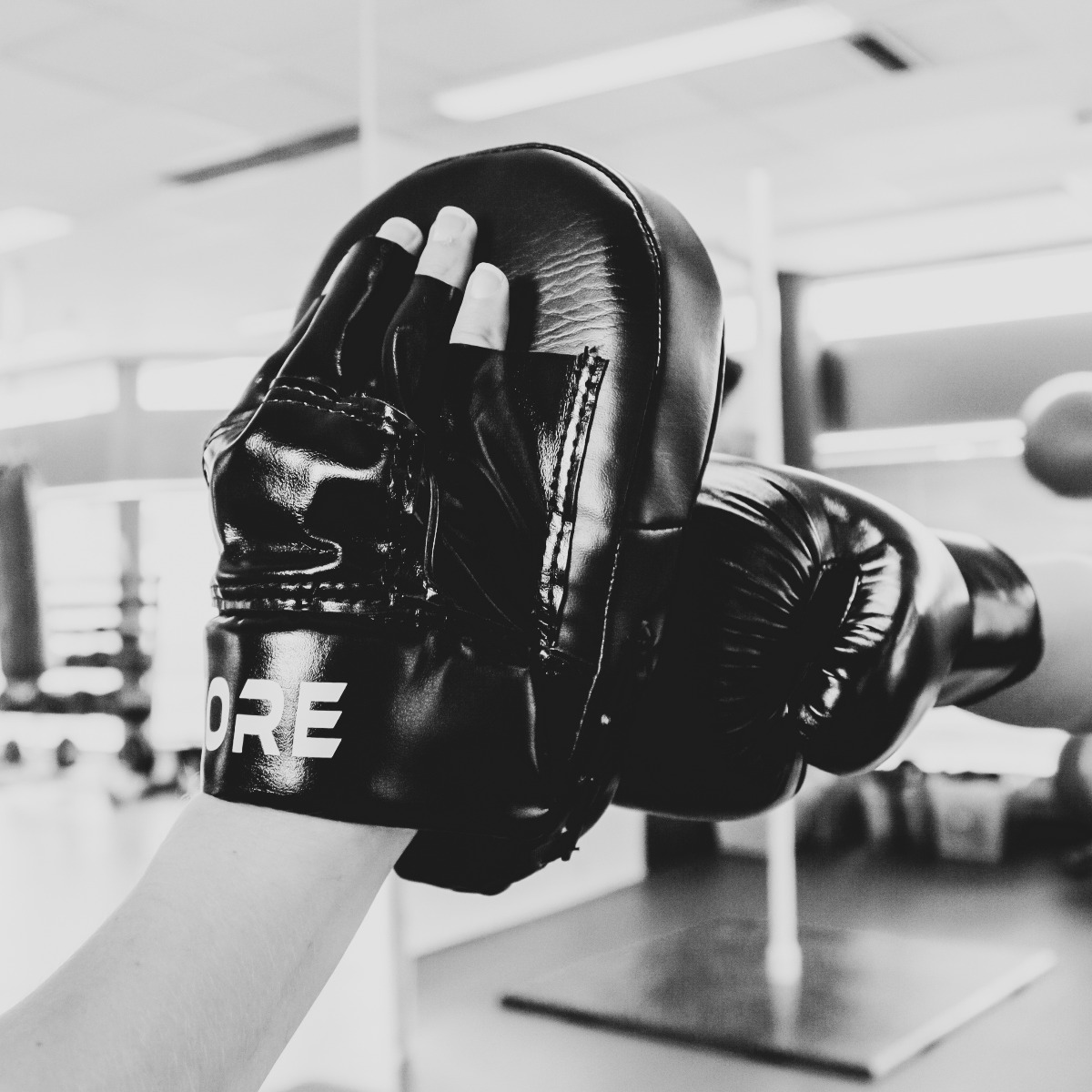 Core Boxing Pads