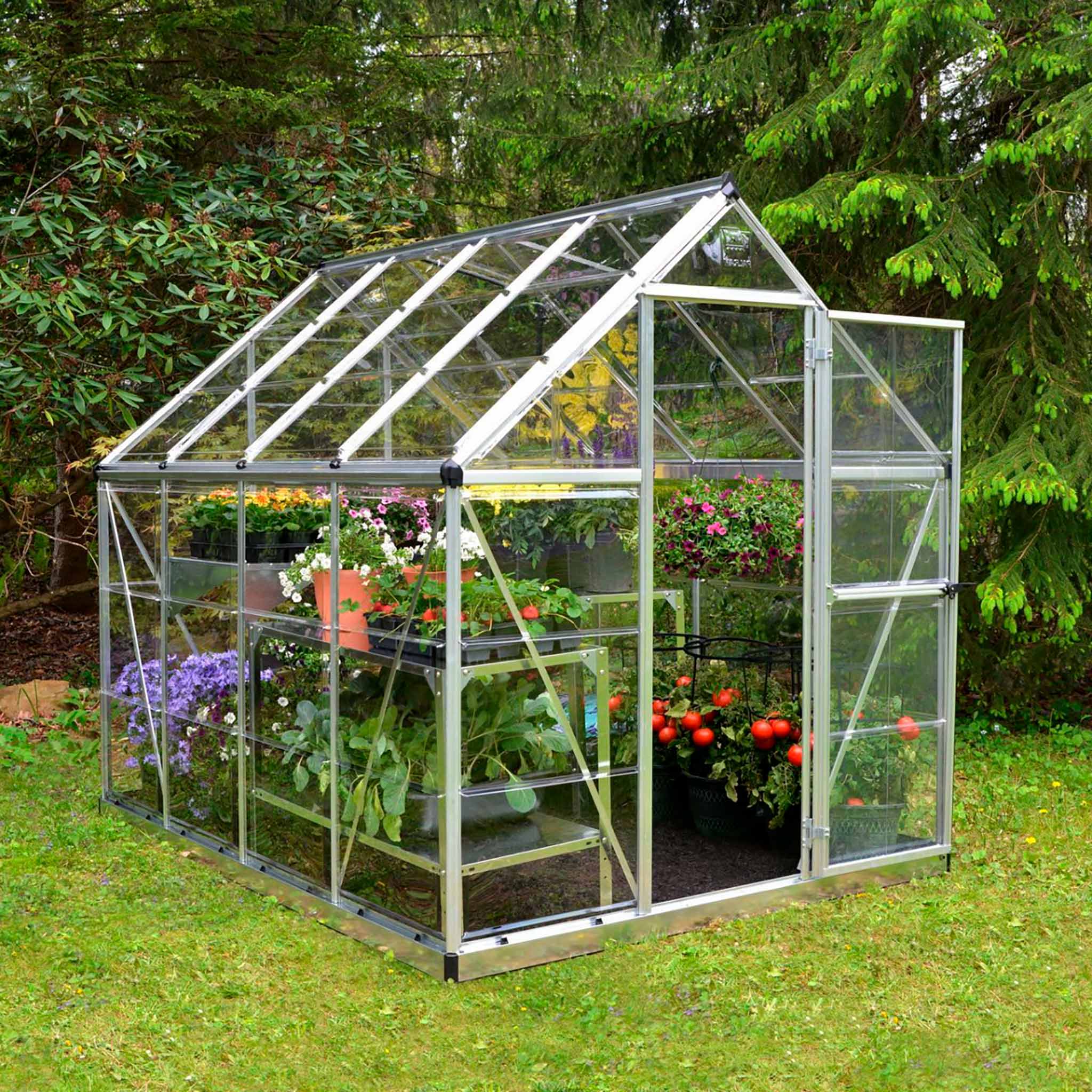 Palram-Canopia Växthus Harmony, 4,6m², 6x8, silver