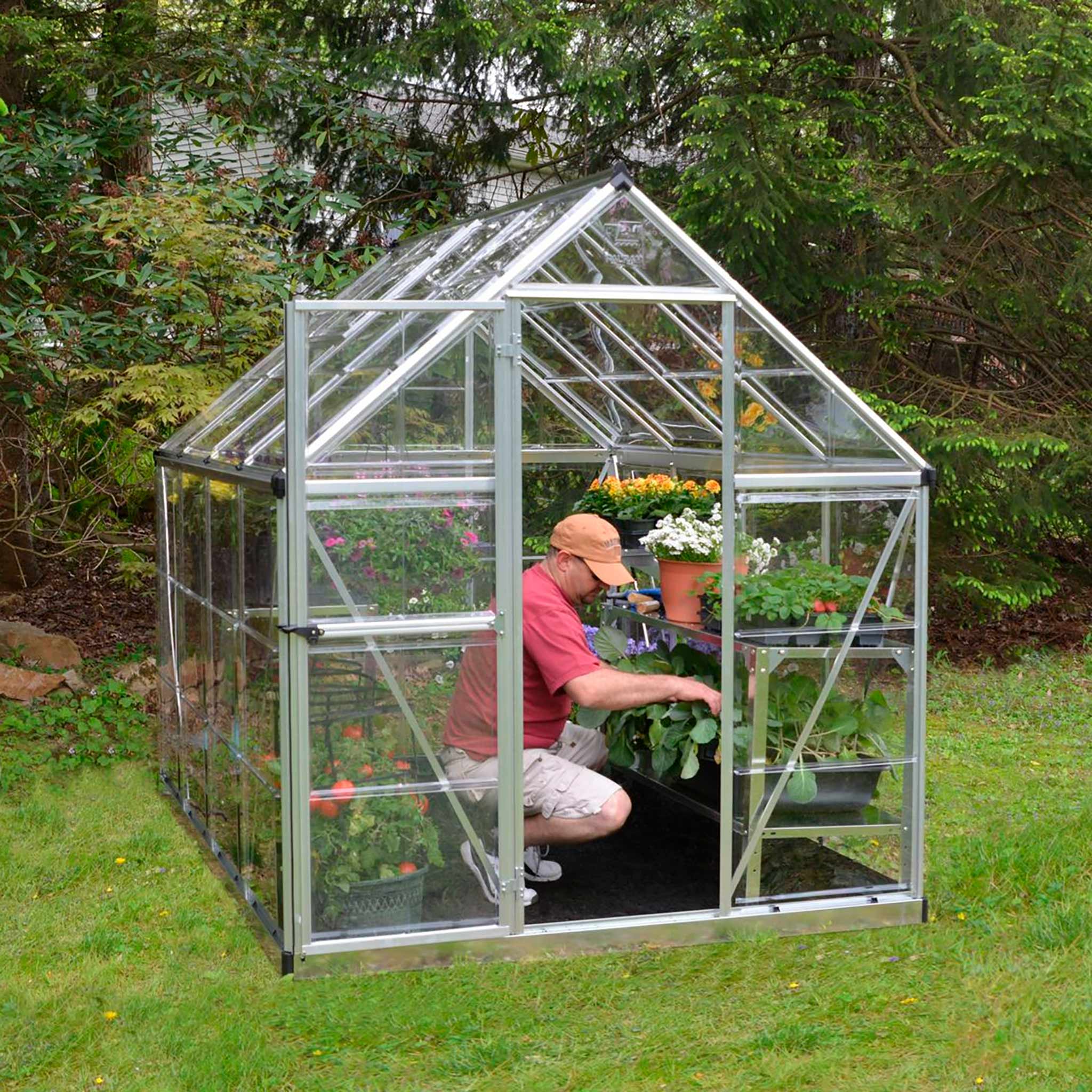 Palram-Canopia Växthus Harmony, 4,6m², 6x8, silver