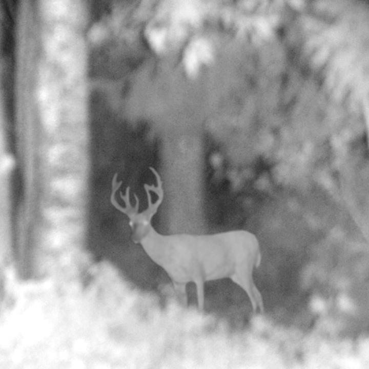 Trekker Jumelles de vision nocturne Elite