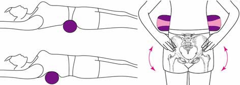 Eco Body ZenRoller Massage Roller