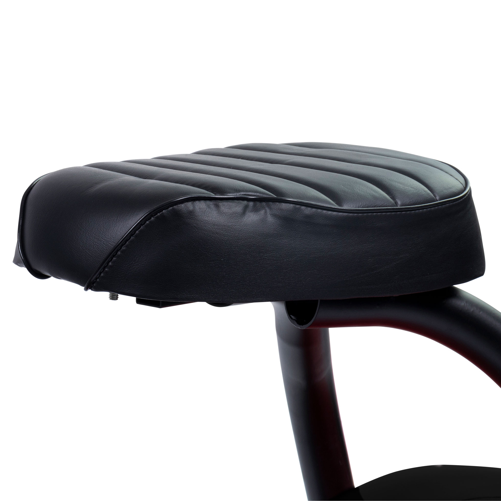 Hulajnoga Elektryczna Swoop Cruiser Black N2