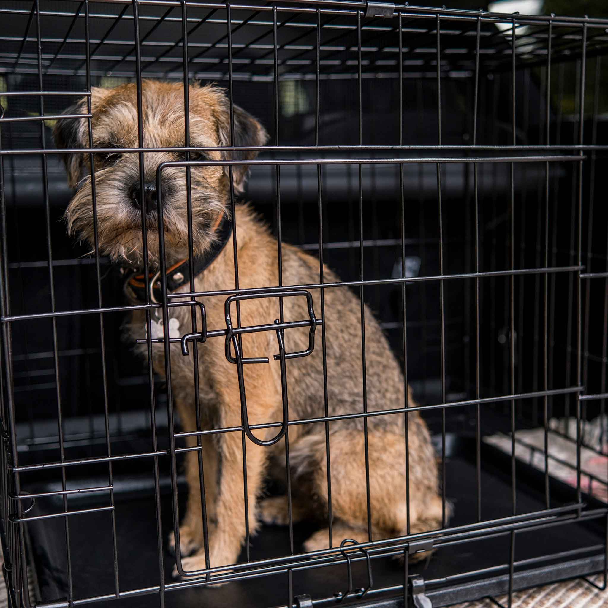 Trekker Cage Pour Chien Métal Léger M