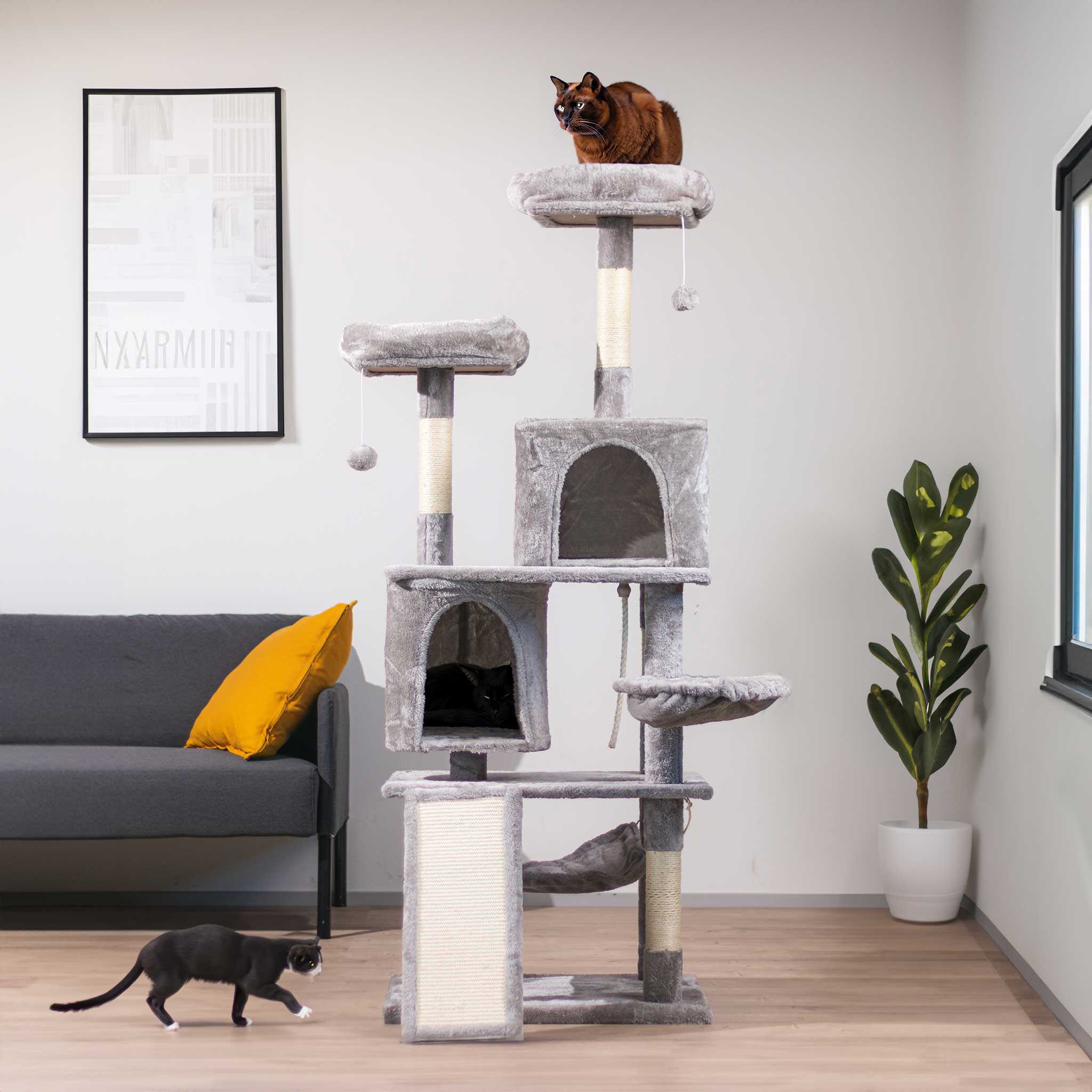 Trekker Arbre à Chat Rufus 161cm