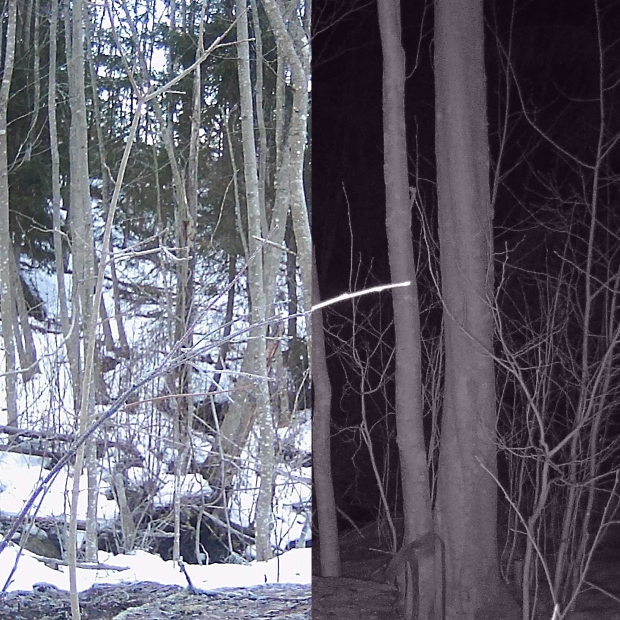 Trekker 5 x Trail Camera set Sending 2G