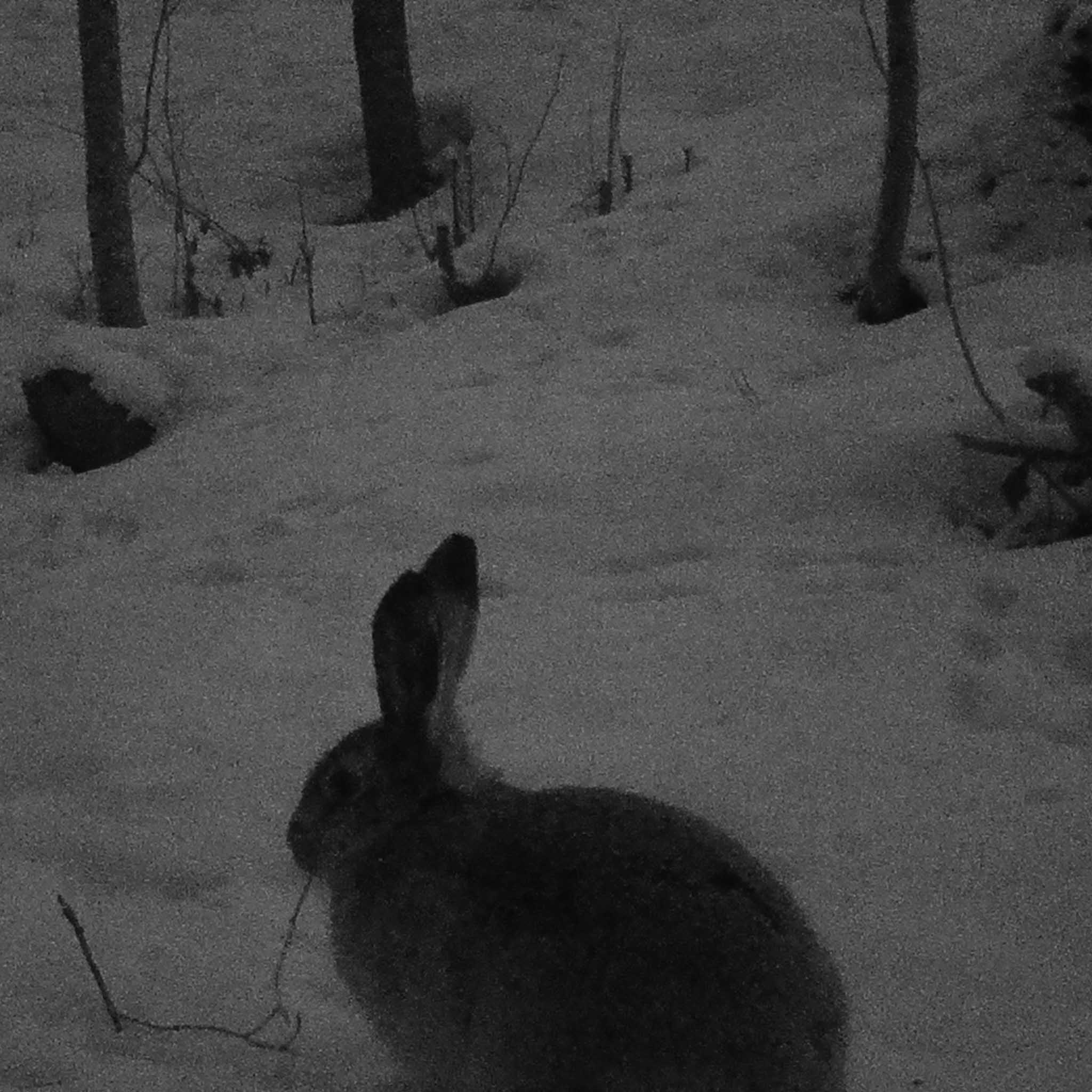 Trekker Trail Camera Premium 4G Sending with Battery