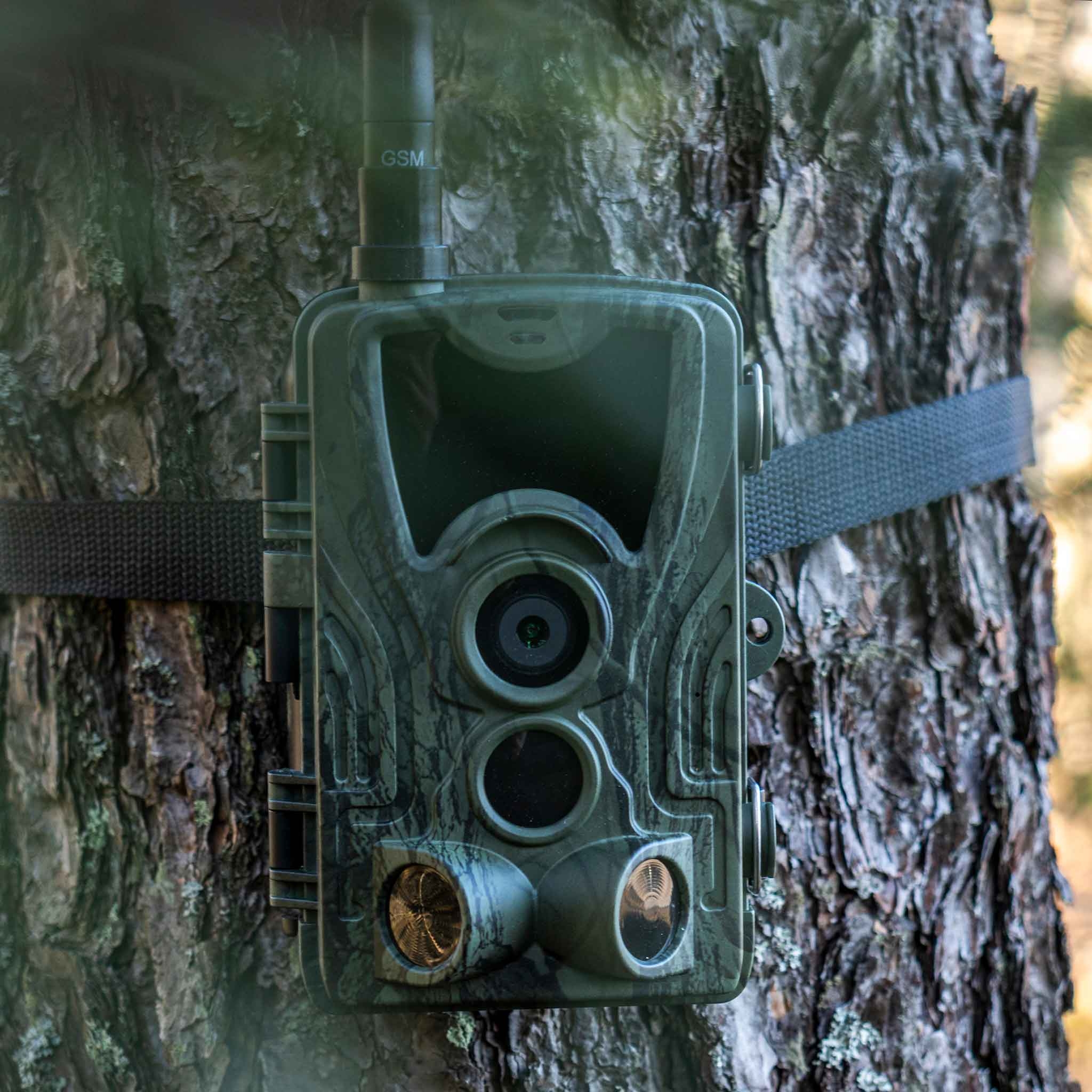Åtelkamera Premium, sändande 3G - Trekker